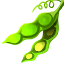 Beans