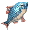 Raw Salmon