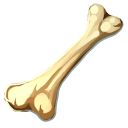 Bone