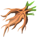 Mandrake Root