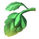Hops