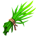 Sea Weed