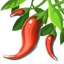 Chili