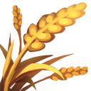 Barley