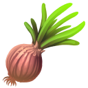 Onion