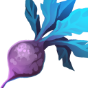Beetroot