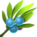 Blueberry
