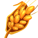 Wheat