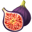 Fig