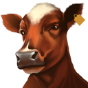 Cow